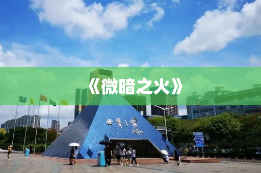 《微暗之火》