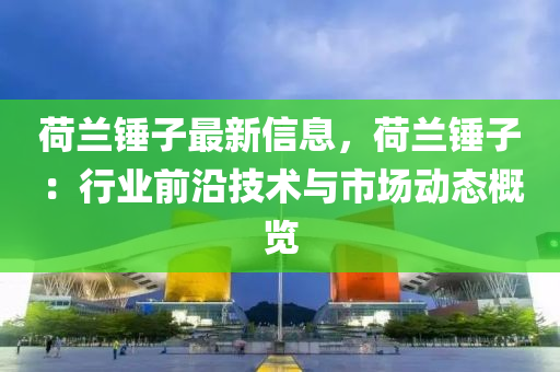 荷蘭錘子最新信息，荷蘭錘子：行業(yè)前沿技術(shù)與市場動態(tài)概覽