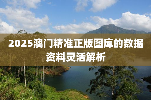 2025澳門精準(zhǔn)正版圖庫的數(shù)據(jù)資料靈活解析