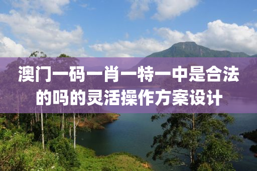 澳門一碼一肖一特一中是合法的嗎的靈活操作方案設(shè)計(jì)