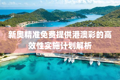 新奧精準(zhǔn)免費(fèi)提供港澳彩的高效性實施計劃解析
