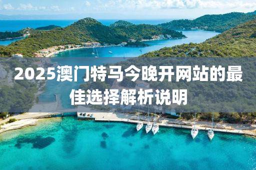 2025澳門特馬今晚開網(wǎng)站的最佳選擇解析說明