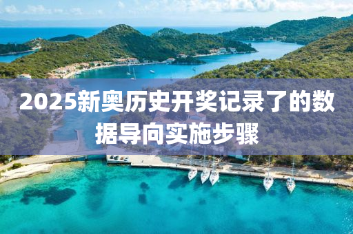 2025新奧歷史開獎記錄了的數(shù)據(jù)導向?qū)嵤┎襟E