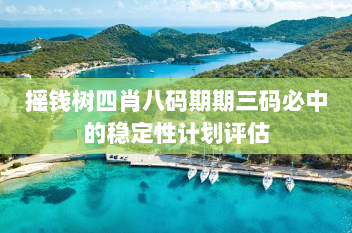 搖錢樹四肖八碼期期三碼必中的穩(wěn)定性計劃評估