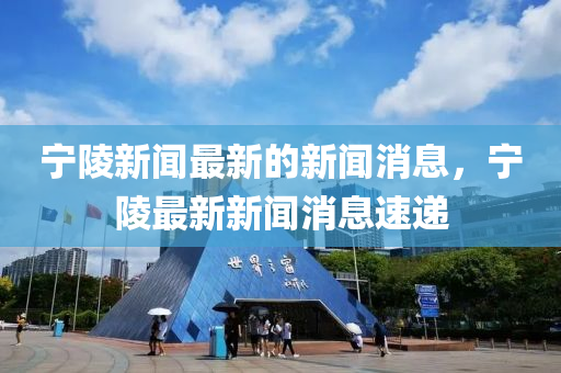 寧陵新聞最新的新聞消息，寧陵最新新聞消息速遞