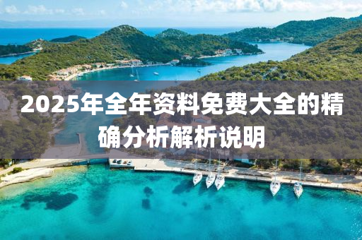 2025年全年資料免費(fèi)大全的精確分析解析說明