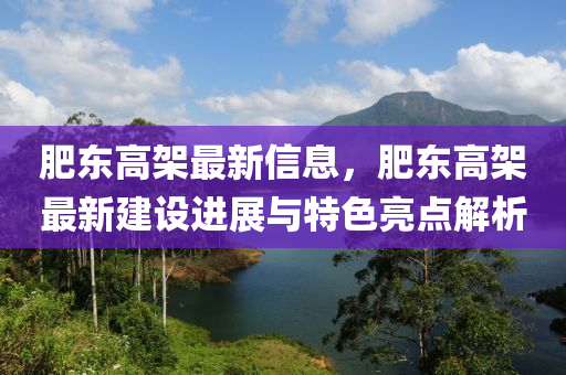 肥東高架最新信息，肥東高架最新建設(shè)進展與特色亮點解析