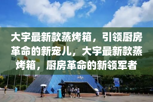 大宇最新款蒸烤箱，引領(lǐng)廚房革命的新寵兒，大宇最新款蒸烤箱，廚房革命的新領(lǐng)軍者