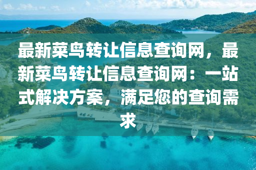 最新菜鳥轉(zhuǎn)讓信息查詢網(wǎng)，最新菜鳥轉(zhuǎn)讓信息查詢網(wǎng)：一站式解決方案，滿足您的查詢需求