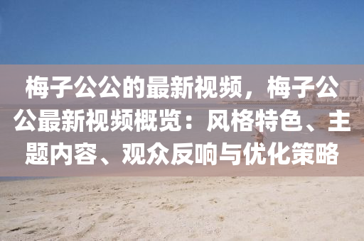 梅子公公的最新視頻，梅子公公最新視頻概覽：風(fēng)格特色、主題內(nèi)容、觀眾反響與優(yōu)化策略