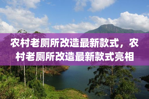 農(nóng)村老廁所改造最新款式，農(nóng)村老廁所改造最新款式亮相