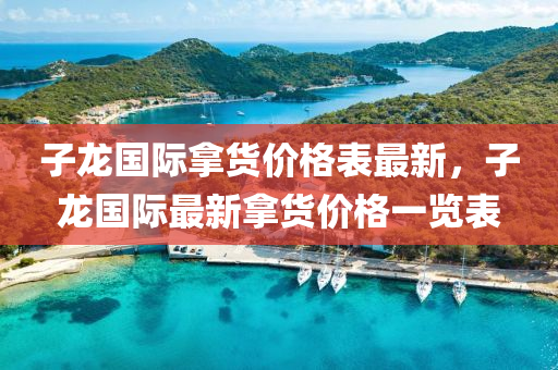 子龍國(guó)際拿貨價(jià)格表最新，子龍國(guó)際最新拿貨價(jià)格一覽表