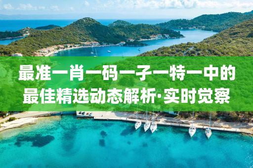 最準(zhǔn)一肖一碼一孑一特一中的最佳精選動(dòng)態(tài)解析·實(shí)時(shí)覺察