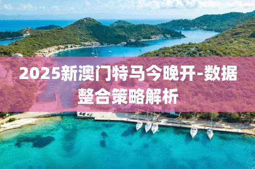 2025新澳門特馬今晚開-數(shù)據(jù)整合策略解析