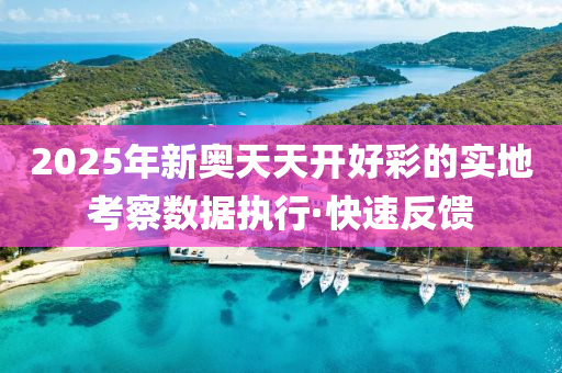 2025年新奧天天開好彩的實(shí)地考察數(shù)據(jù)執(zhí)行·快速反饋