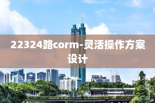 22324路corm-靈活操作方案設(shè)計(jì)