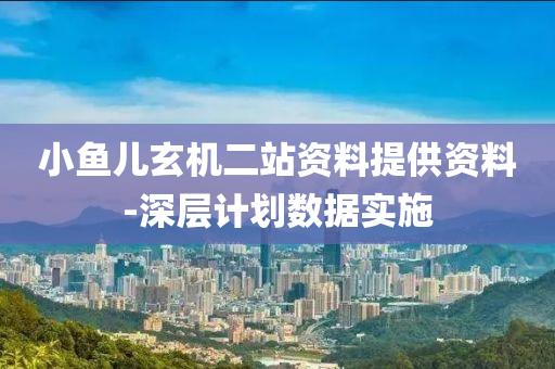 小魚兒玄機二站資料提供資料-深層計劃數(shù)據(jù)實施