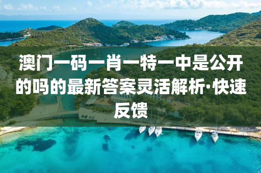 澳門一碼一肖一特一中是公開的嗎的最新答案靈活解析·快速反饋