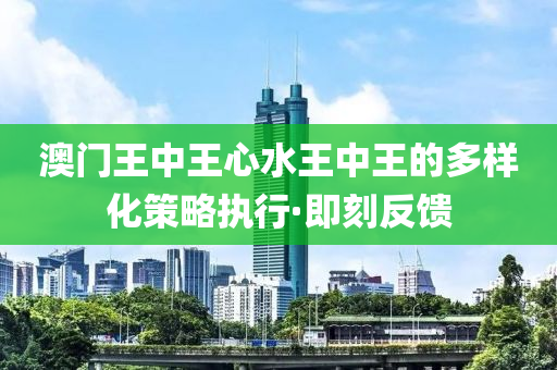 澳門王中王心水王中王的多樣化策略執(zhí)行·即刻反饋
