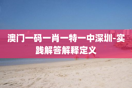 澳門一碼一肖一特一中深圳-實(shí)踐解答解釋定義