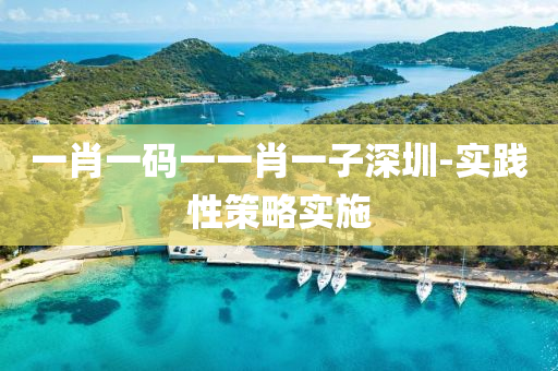 一肖一碼一一肖一子深圳-實踐性策略實施