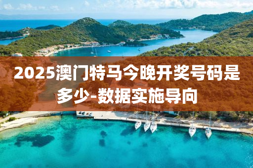 2025澳門特馬今晚開獎號碼是多少-數(shù)據(jù)實施導(dǎo)向