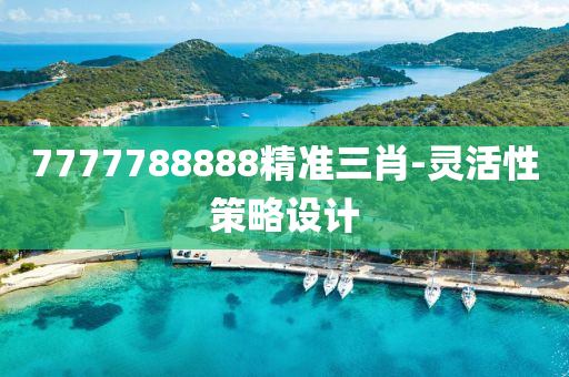 7777788888精準(zhǔn)三肖-靈活性策略設(shè)計
