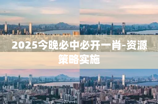 2025今晚必中必開一肖-資源策略實(shí)施