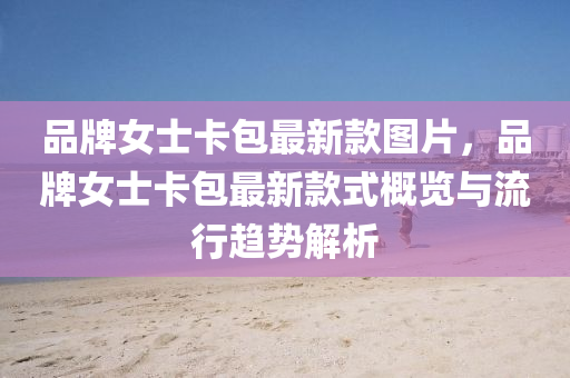 品牌女士卡包最新款圖片，品牌女士卡包最新款式概覽與流行趨勢解析