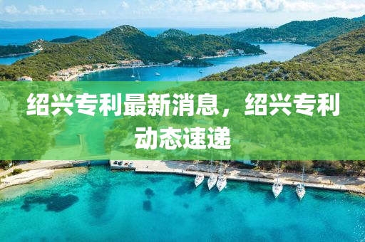 紹興專利最新消息，紹興專利動態(tài)速遞