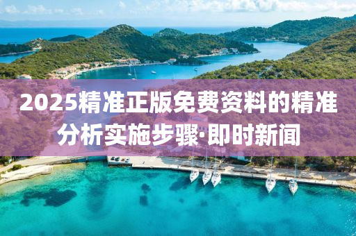 2025精準(zhǔn)正版免費(fèi)資料的精準(zhǔn)分析實(shí)施步驟·即時(shí)新聞