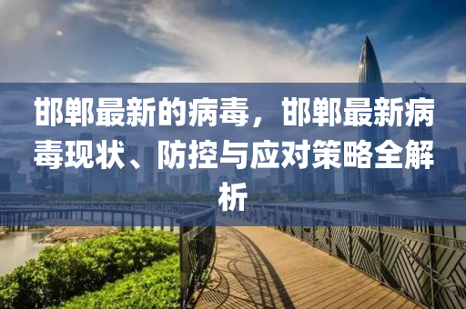 邯鄲最新的病毒，邯鄲最新病毒現(xiàn)狀、防控與應(yīng)對策略全解析