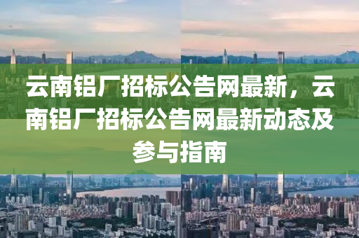 云南鋁廠招標(biāo)公告網(wǎng)最新，云南鋁廠招標(biāo)公告網(wǎng)最新動態(tài)及參與指南