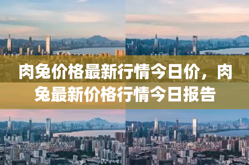 肉兔價格最新行情今日價，肉兔最新價格行情今日報告