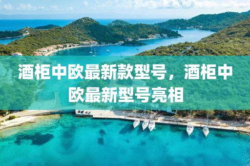 酒柜中歐最新款型號(hào)，酒柜中歐最新型號(hào)亮相