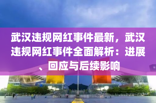 武漢違規(guī)網(wǎng)紅事件最新，武漢違規(guī)網(wǎng)紅事件全面解析：進展、回應(yīng)與后續(xù)影響
