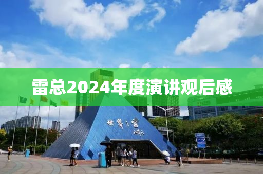 雷總2024年度演講觀后感