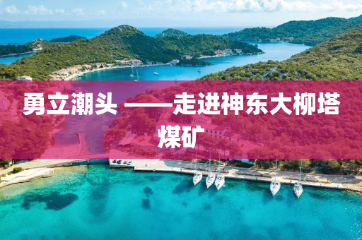 勇立潮頭 ——走進(jìn)神東大柳塔煤礦