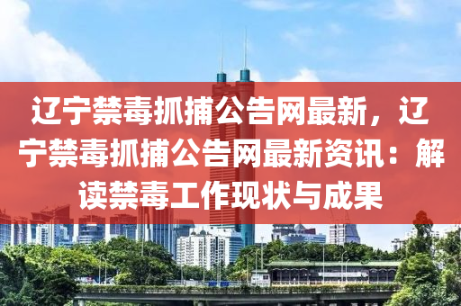遼寧禁毒抓捕公告網(wǎng)最新，遼寧禁毒抓捕公告網(wǎng)最新資訊：解讀禁毒工作現(xiàn)狀與成果