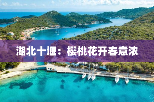 湖北十堰：櫻桃花開(kāi)春意濃