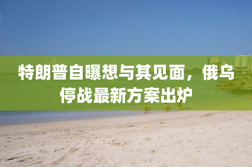 特朗普自曝想與其見面，俄烏停戰(zhàn)最新方案出爐