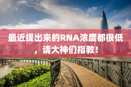最近提出來的RNA濃度都很低，請大神們指教！