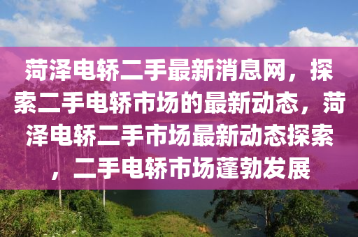 菏澤電轎二手最新消息網(wǎng)，探索二手電轎市場的最新動態(tài)，菏澤電轎二手市場最新動態(tài)探索，二手電轎市場蓬勃發(fā)展