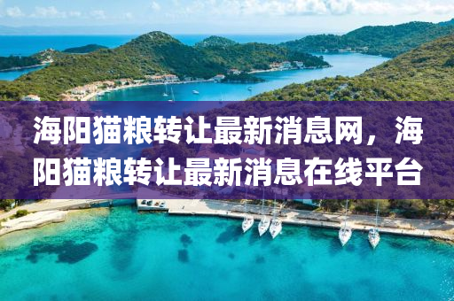 海陽貓糧轉(zhuǎn)讓最新消息網(wǎng)，海陽貓糧轉(zhuǎn)讓最新消息在線平臺
