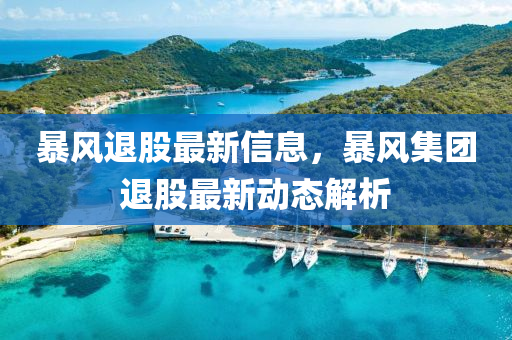暴風(fēng)退股最新信息，暴風(fēng)集團(tuán)退股最新動態(tài)解析