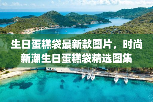 生日蛋糕袋最新款圖片，時尚新潮生日蛋糕袋精選圖集