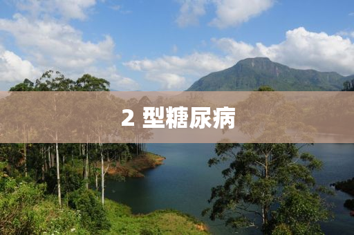 2 型糖尿病