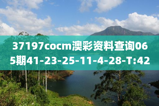 37197cocm澳彩資料查詢065期41-23-25-11-4-28-T:42