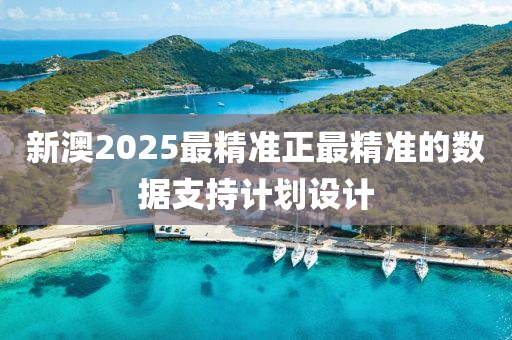 新澳2025最精準正最精準的數(shù)據(jù)支持計劃設(shè)計