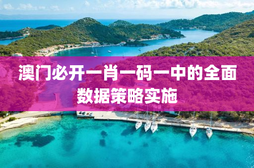 澳門必開一肖一碼一中的全面數(shù)據(jù)策略實(shí)施